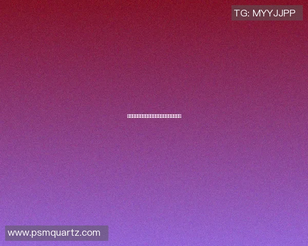 广州篮球队转型之路的真实记录与成长历程探讨 广州篮球队转型之路的真实记录与成长历程探讨