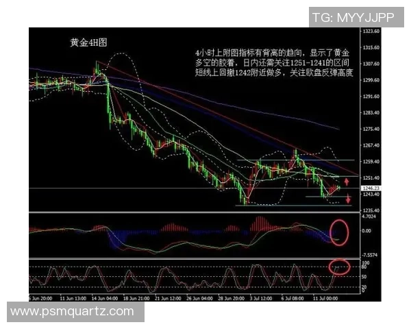独家解析上海篮球队意识差异与战术执行的深层影响