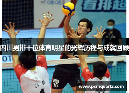 四川男排十位体育明星的光辉历程与成就回顾