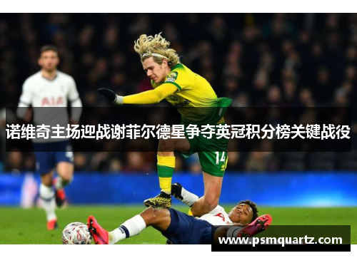 诺维奇主场迎战谢菲尔德星争夺英冠积分榜关键战役